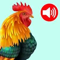 Animals Ringtones