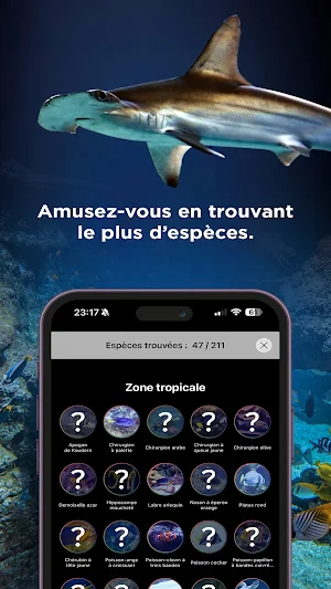 Aquazoom Screenshot 2