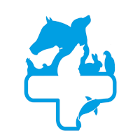 Pets Pereira Shop