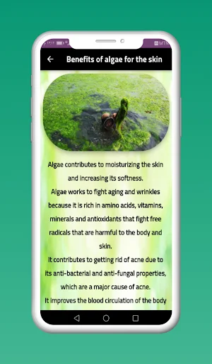 Seaweeds Recipes Screenshot 1