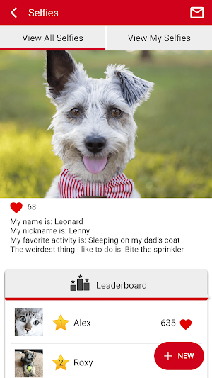 Dr PetMD Screenshot 1