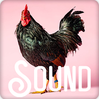 Rooster Soundboard Ringtones