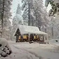 Snowfalling Live Wallpapers