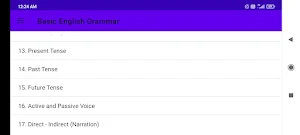 Basic English Grammar Screenshot 1