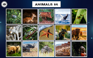 IMAGEine Expansion Pack 1 screenshot 5