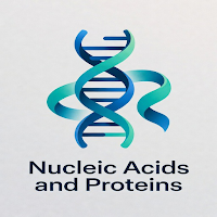 Nucleic Acids and Proteins