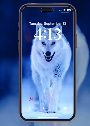 Wolf Wallpaper HD Screenshot 0