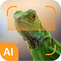 Reptile identifier