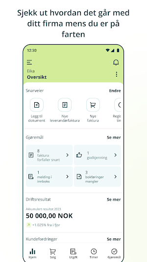 Eika Regnskap Screenshot 2
