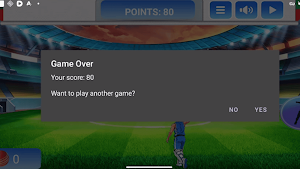 Cricket Bat Champion Screenshot 3