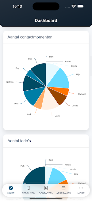 Bizzi-B Reports Screenshot 3