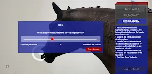 Trot To Trophy 2: TPR AR Screenshot 3