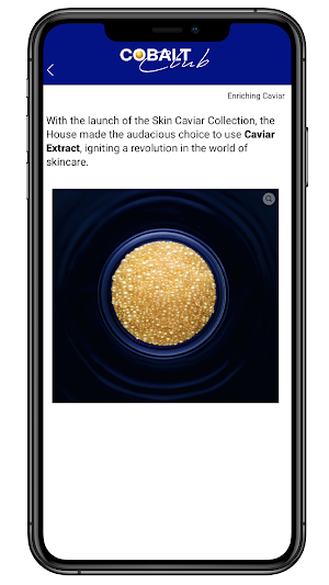 LP Cobalt Club Screenshot 3