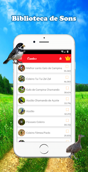 Meu Galo de Campina Screenshot 2