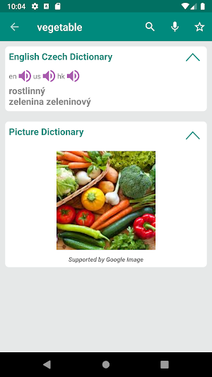 Czech English Dictionary Screenshot 1