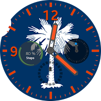 South Carolina Flag Watchface