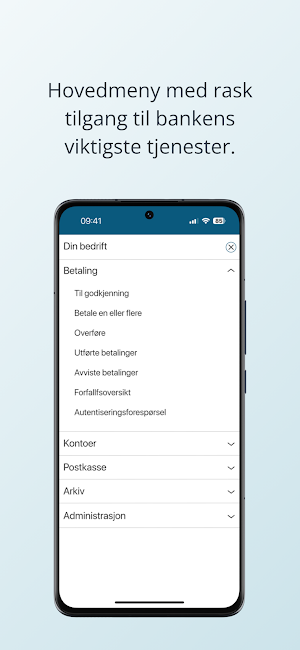 Spareskillingsbanken Bedrift Screenshot 3
