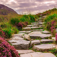 HD Nature Wallpapers