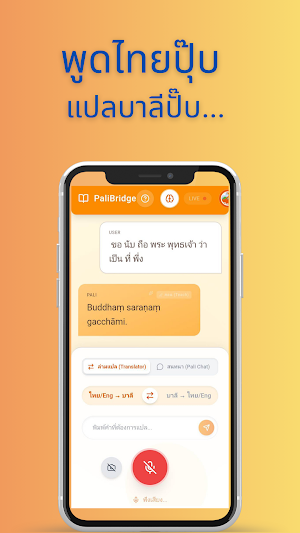 PaliBridge Screenshot 1