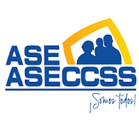 AseAseccss