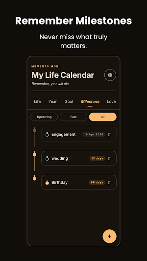 Life Calendar: Life in Weeks Screenshot 2