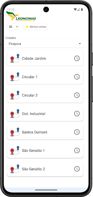 Leoncinho Transportes Ltda. Screenshot 0