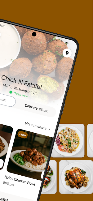 Chick-N-falafel Screenshot 1