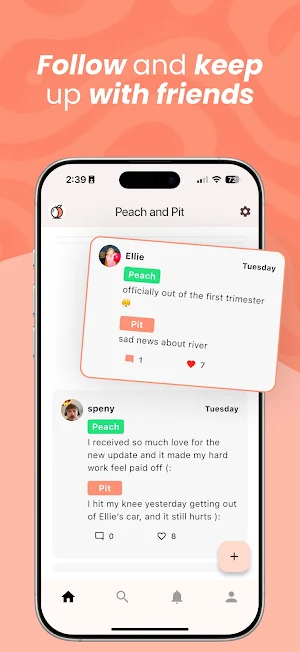 Peach and Pit Screenshot 2