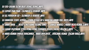 Dj Ceri pam pam Screenshot 1