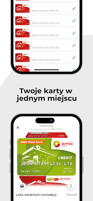 AMIC FLEET CARD Screenshot 3