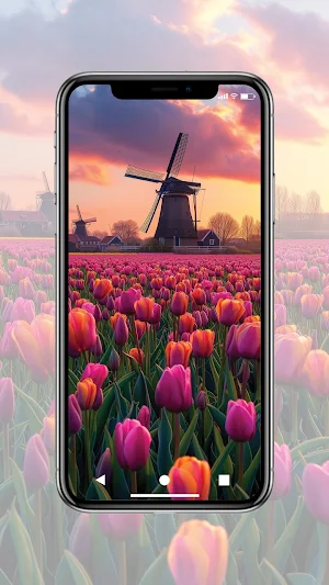 Spring Wallpaper HD Screenshot 0