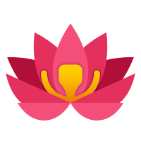 ZenFocus Pro : Focus & Grow