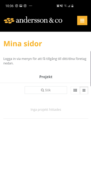 Andersson & Co Screenshot 2