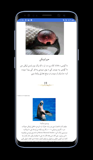 جالب معلومات اوله برخه | پښتو Screenshot 3