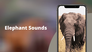 Elephant Sounds Screenshot 0
