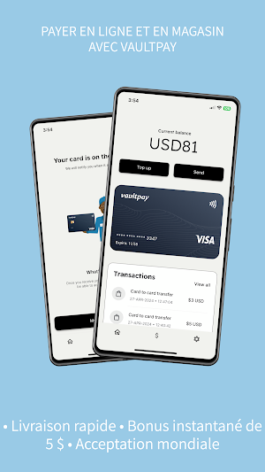 Vaultpay RDC Screenshot 1