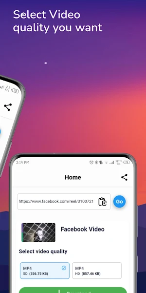 Social Video Downloader Screenshot 1