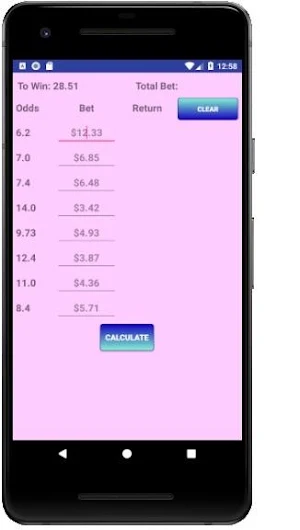Hedge Betting Calculator Pro Screenshot 3