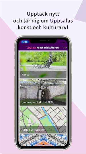 Uppsala konst och kulturarv Screenshot 0