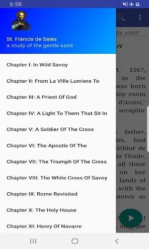 Francis de Sales : a study of the gentle saint Screenshot 2