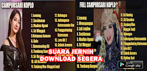 Campursari Koplo Mp3 Offline Screenshot 2