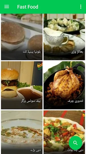 Fast Food Recipes in Urdu Screenshot 2