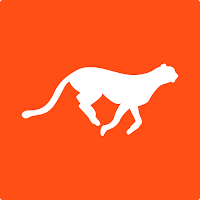 Cheetah VPN : Private & Safe
