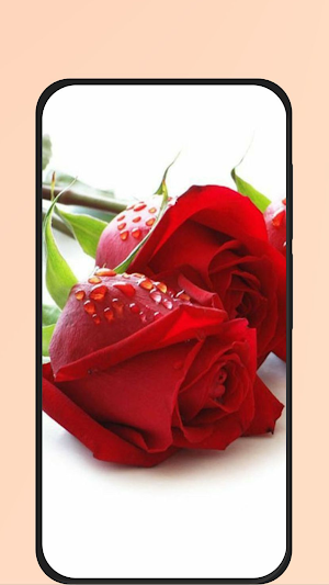red rose pic Screenshot 1