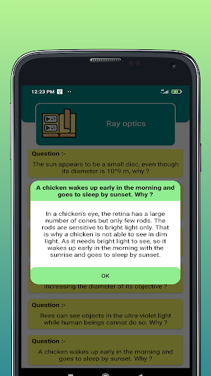 Conceptual Answers Screenshot 3