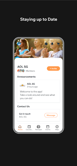 AOL SG Screenshot 2