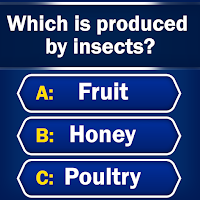 Trivia - Quiz Games