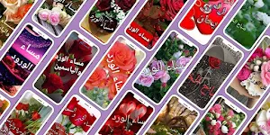 صور مساء الخير مساء الخير 2024 Screenshot 2