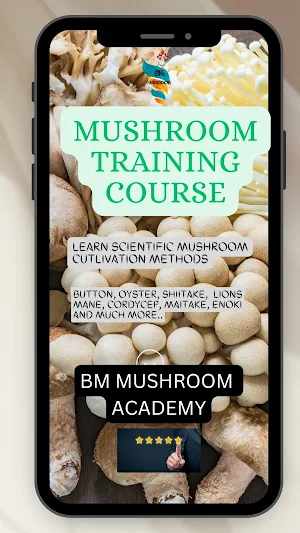 BM MUSHROOM Screenshot 1
