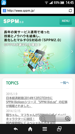 BizBrowser Screenshot 0